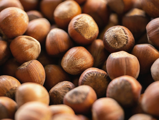 Hazelnut shell buttons