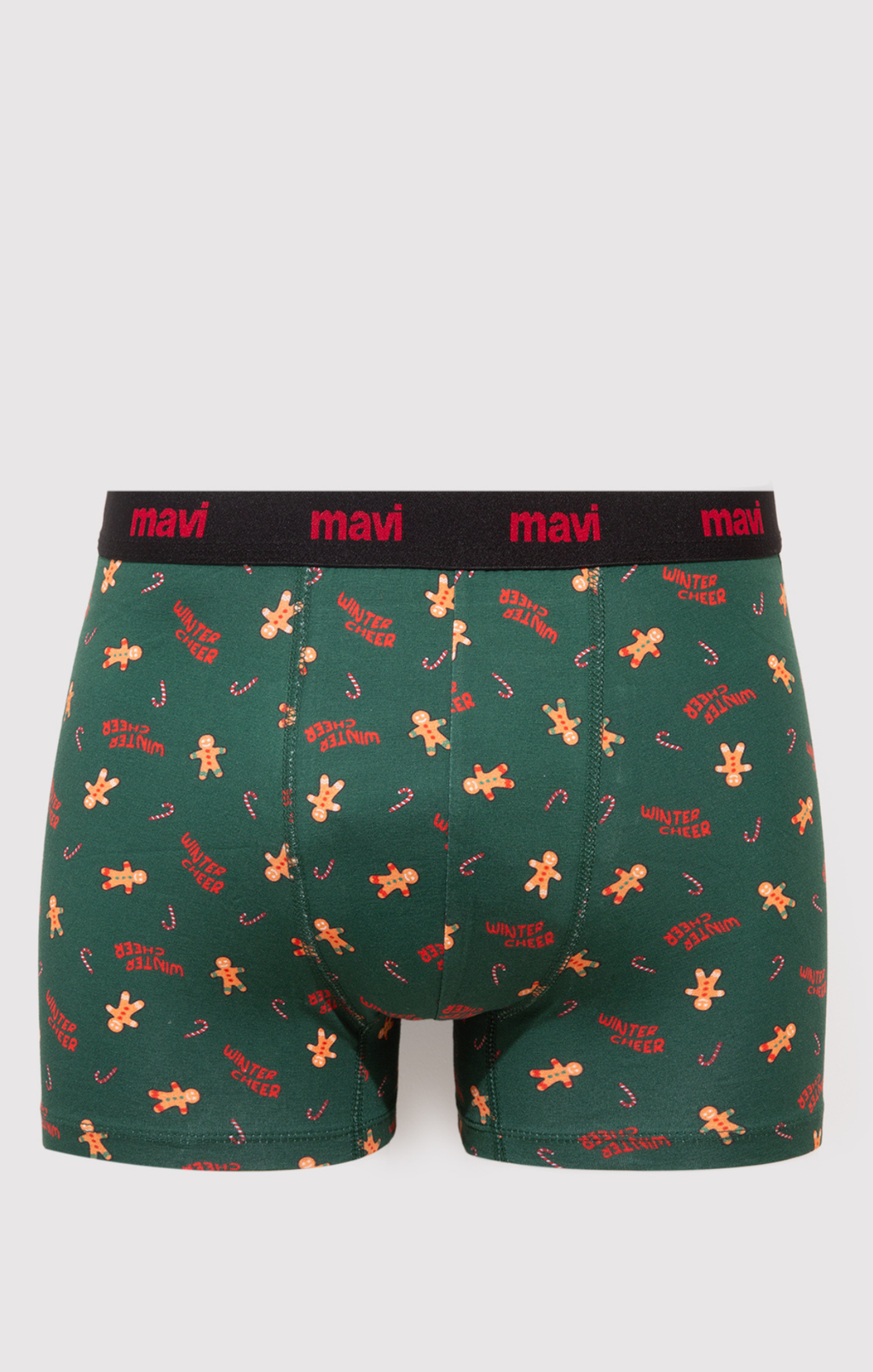 BOXER BRIEFS IN ULTRAMARINE GREEN