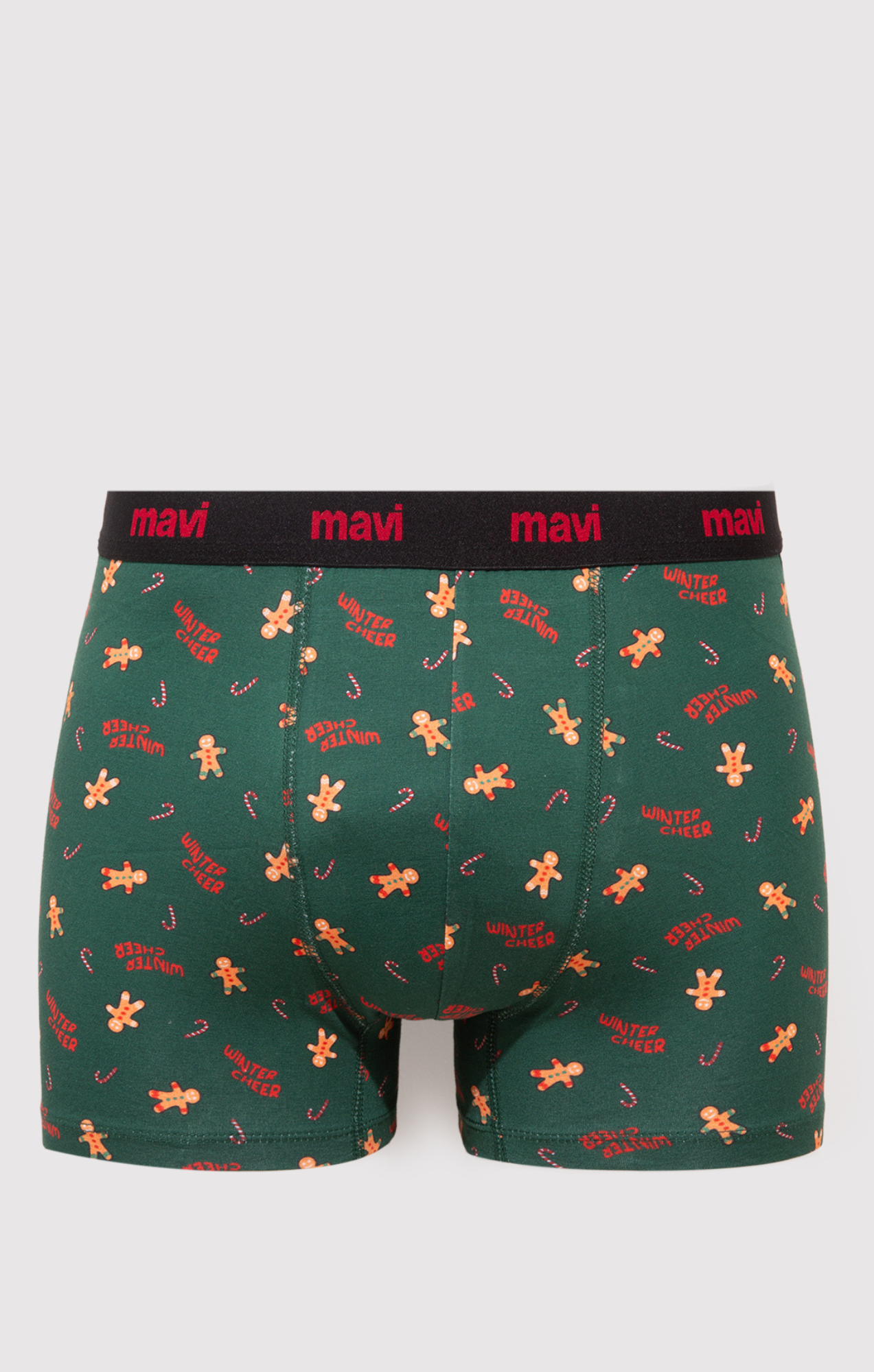 BOXER BRIEFS IN ULTRAMARINE GREEN