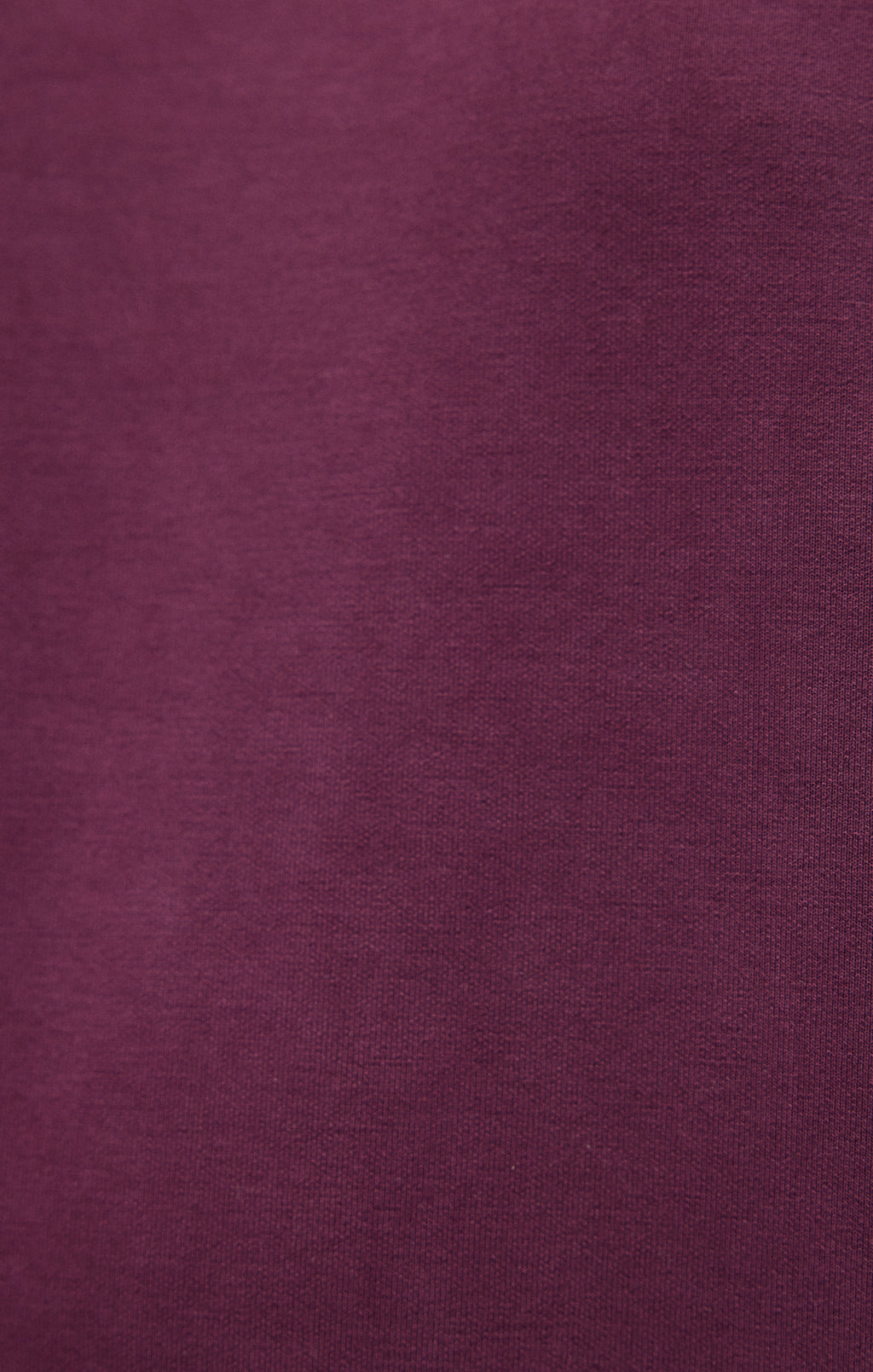SWEATSHIRT IN SASSAFRAS - Mavi Jeans