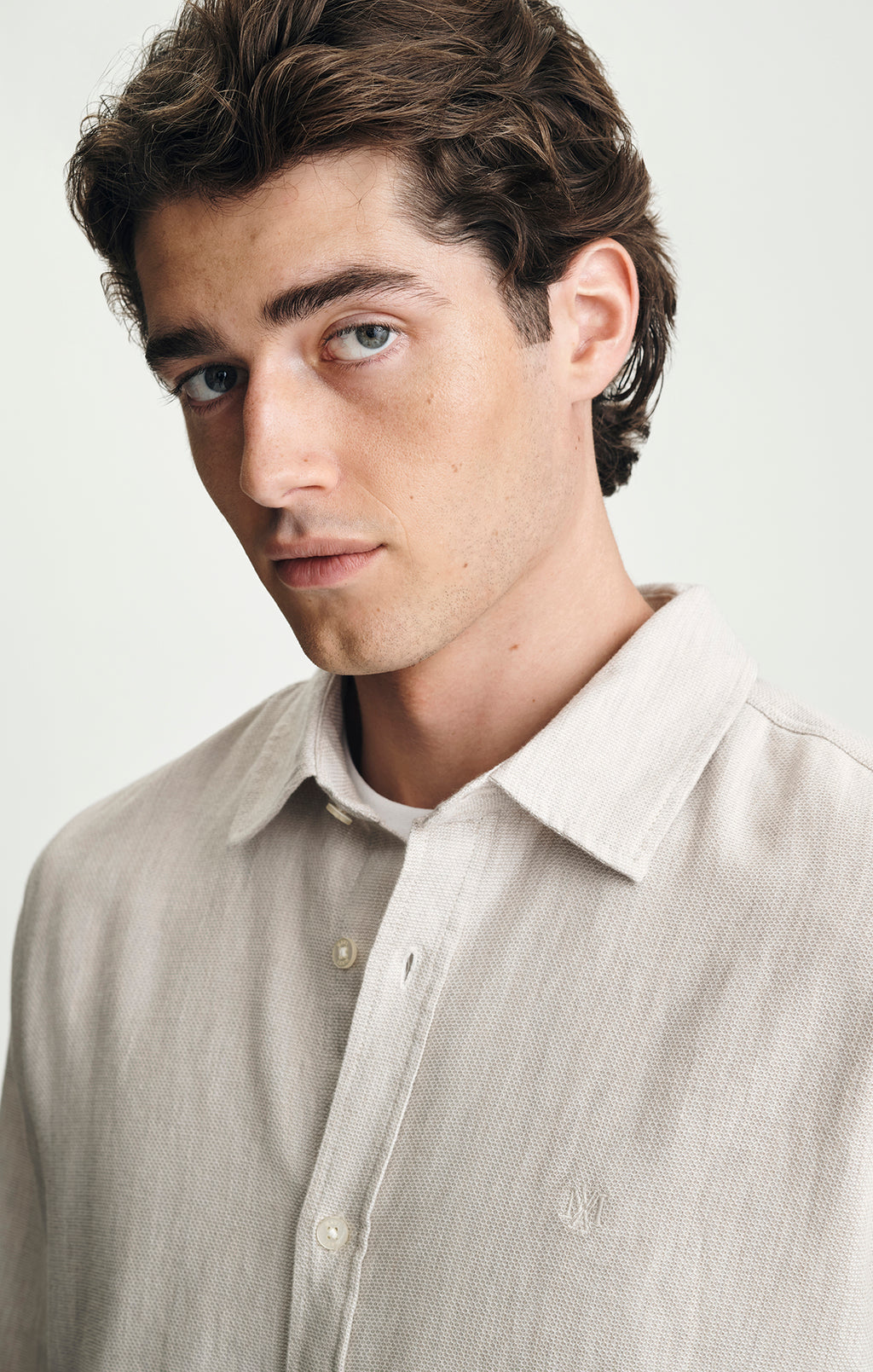 SLIM BUTTON-UP SHIRT IN SILVER LINING