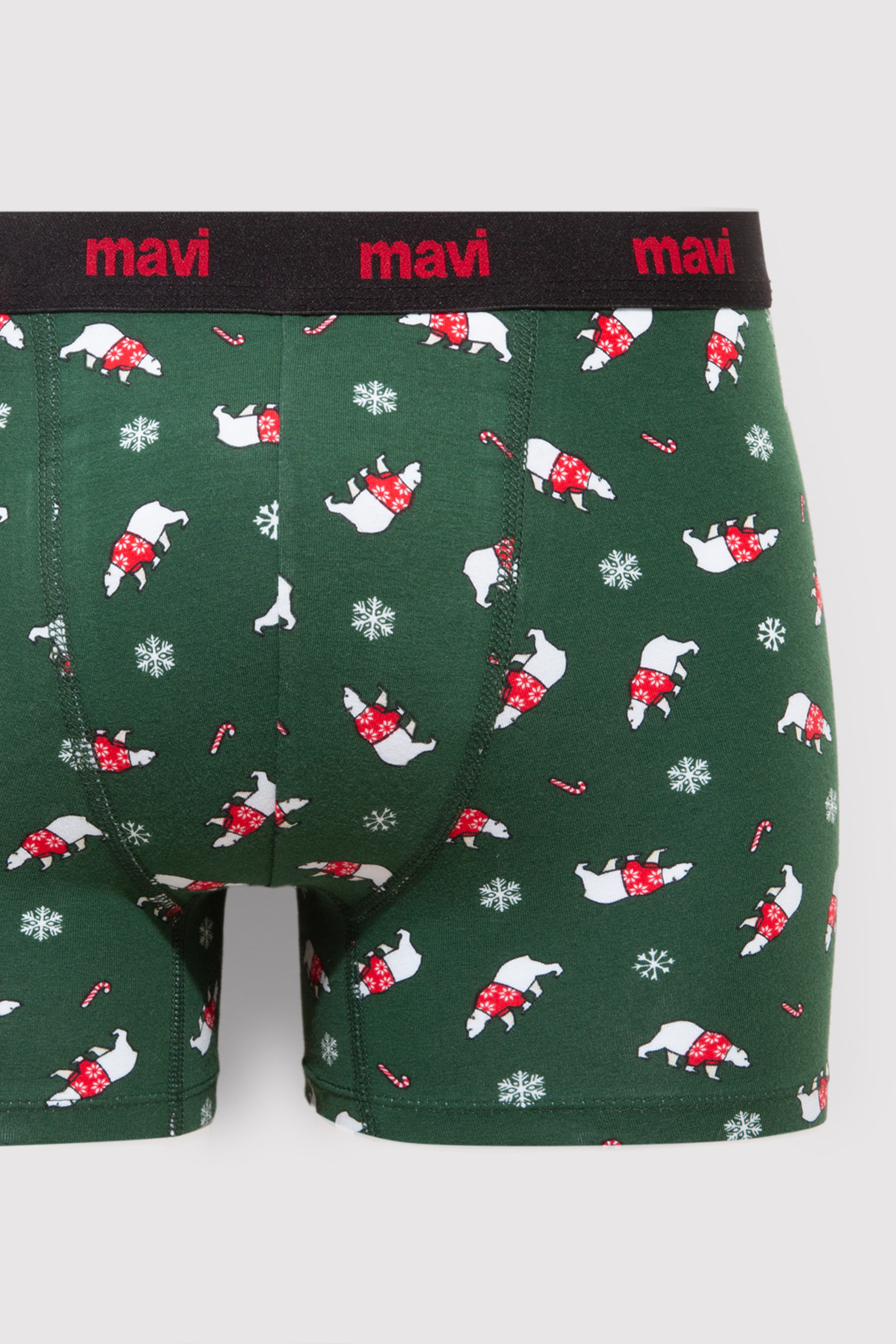 BOXER BRIEFS IN ULTRAMARINE GREEN