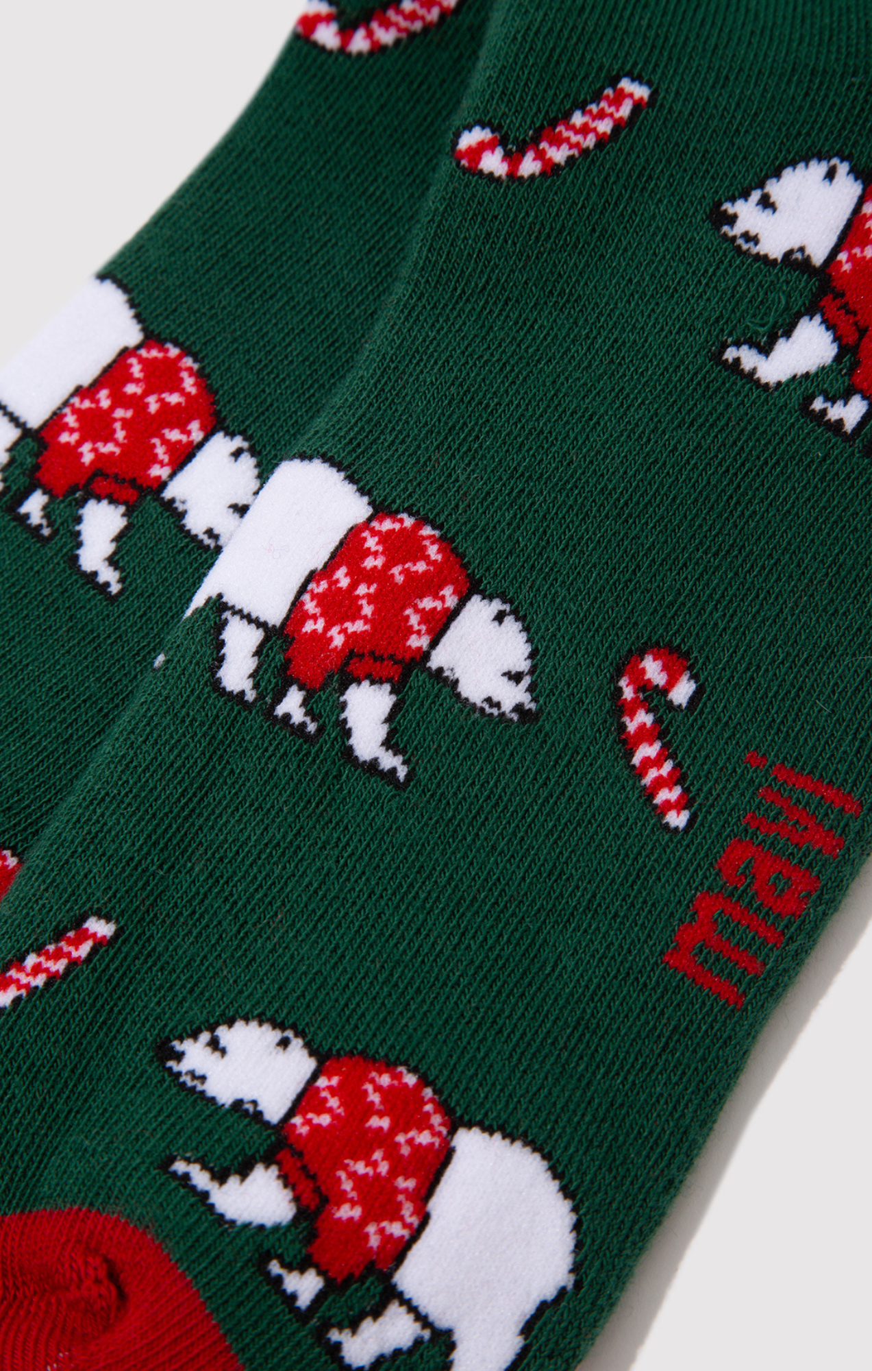 POLAR BEAR SOCKS IN ULTRAMARINE GREEN