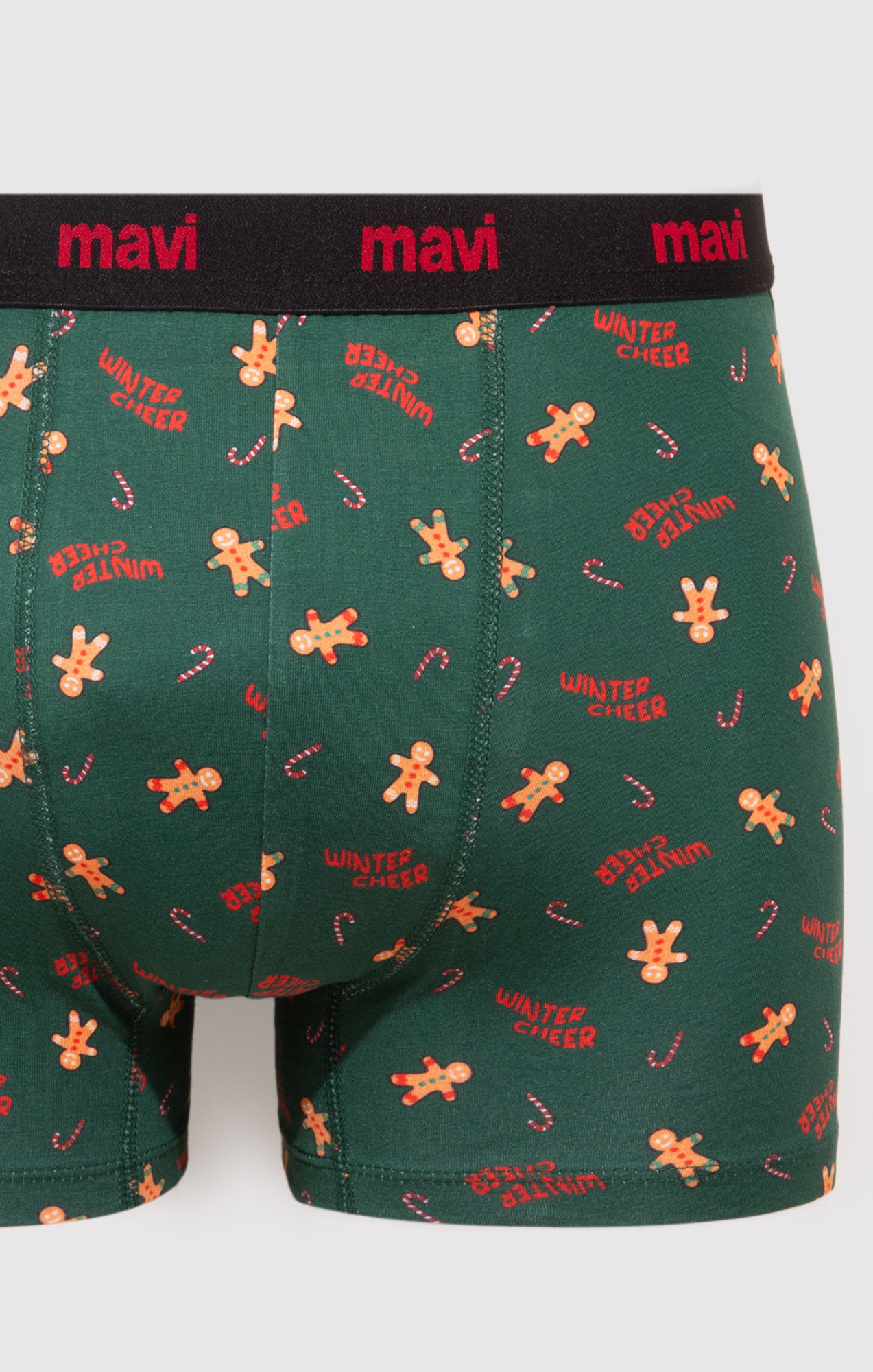 BOXER BRIEFS IN ULTRAMARINE GREEN